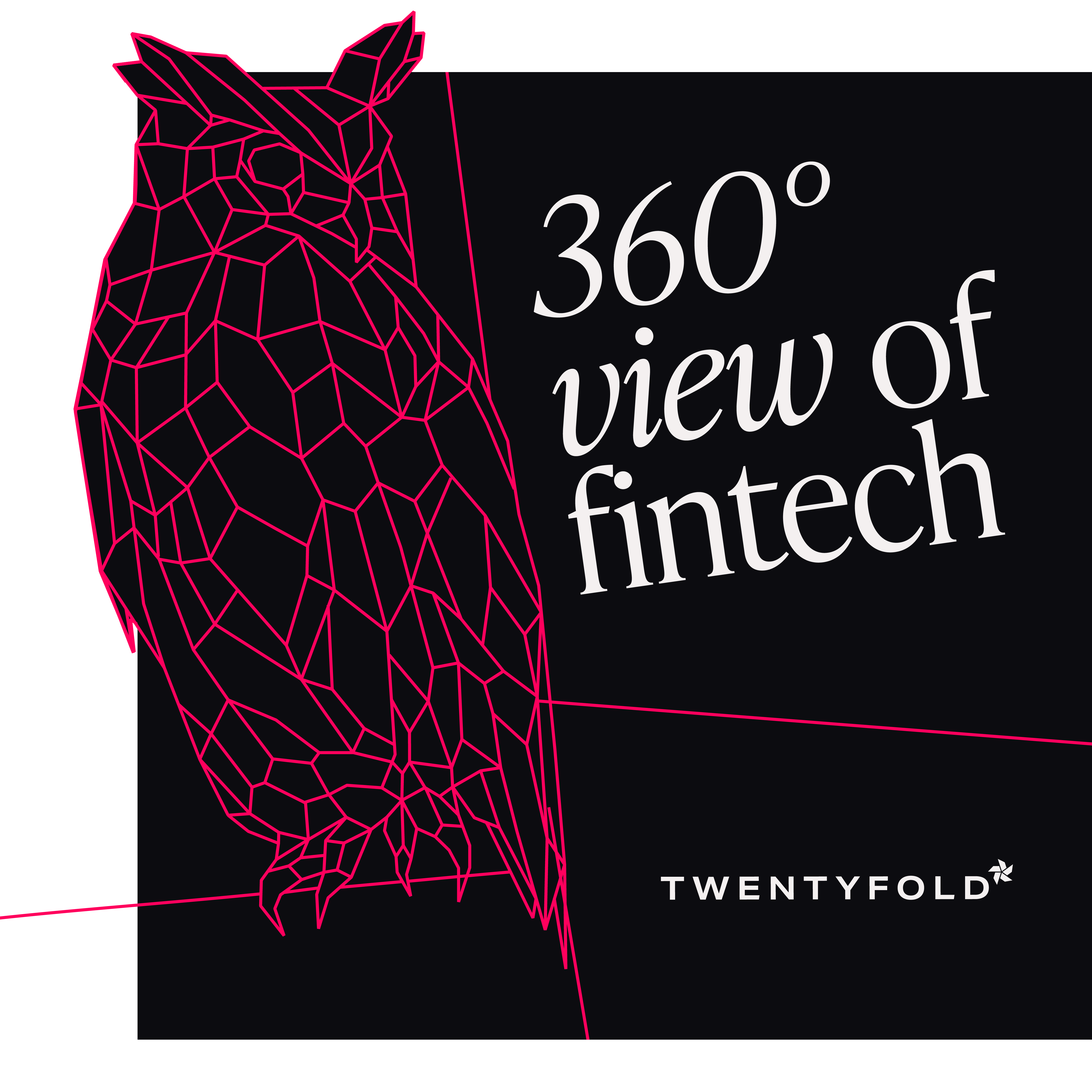 Owl - 360 degree view of fintech