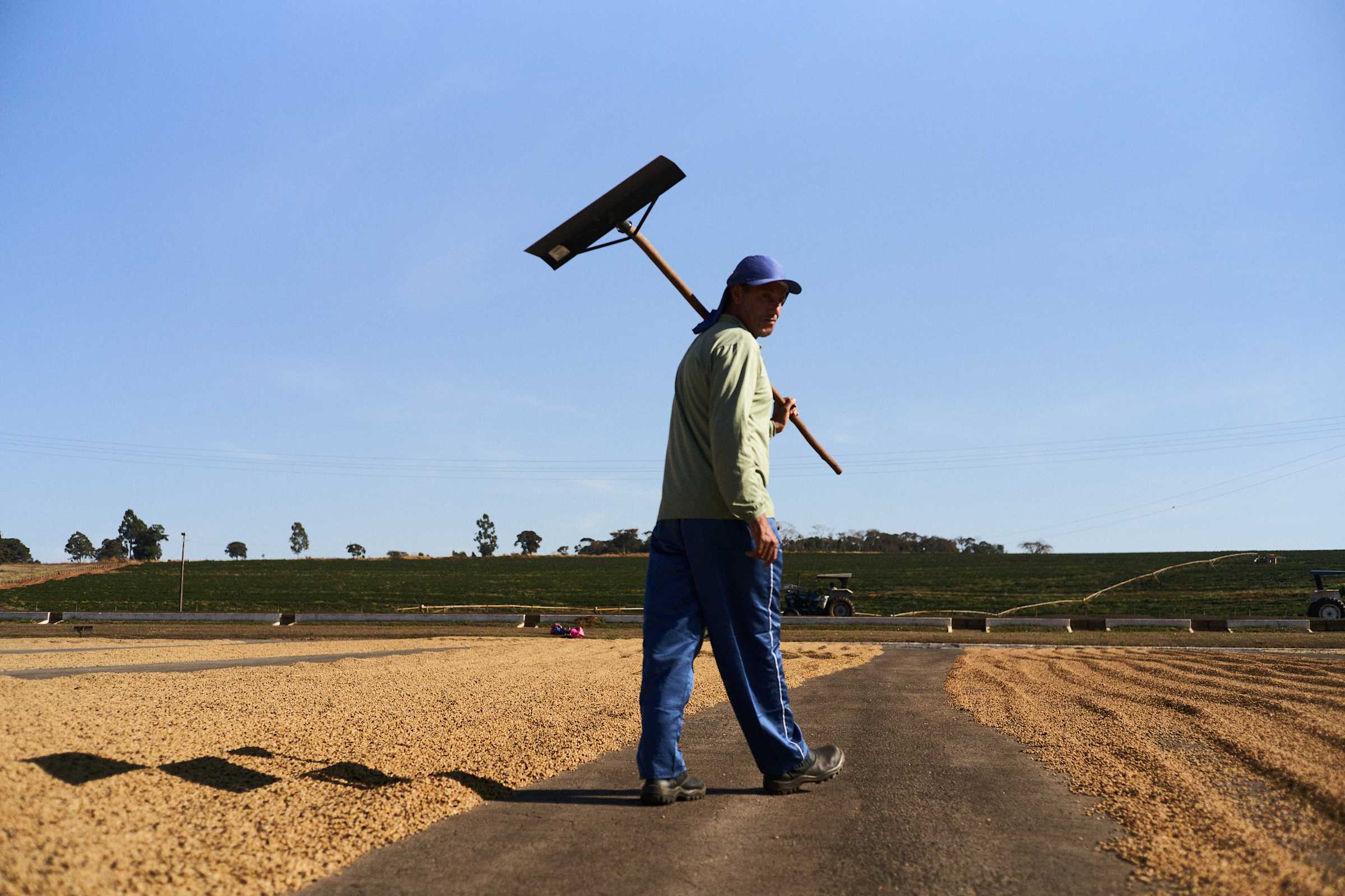 Explaining the “C Market” | Allpress Espresso