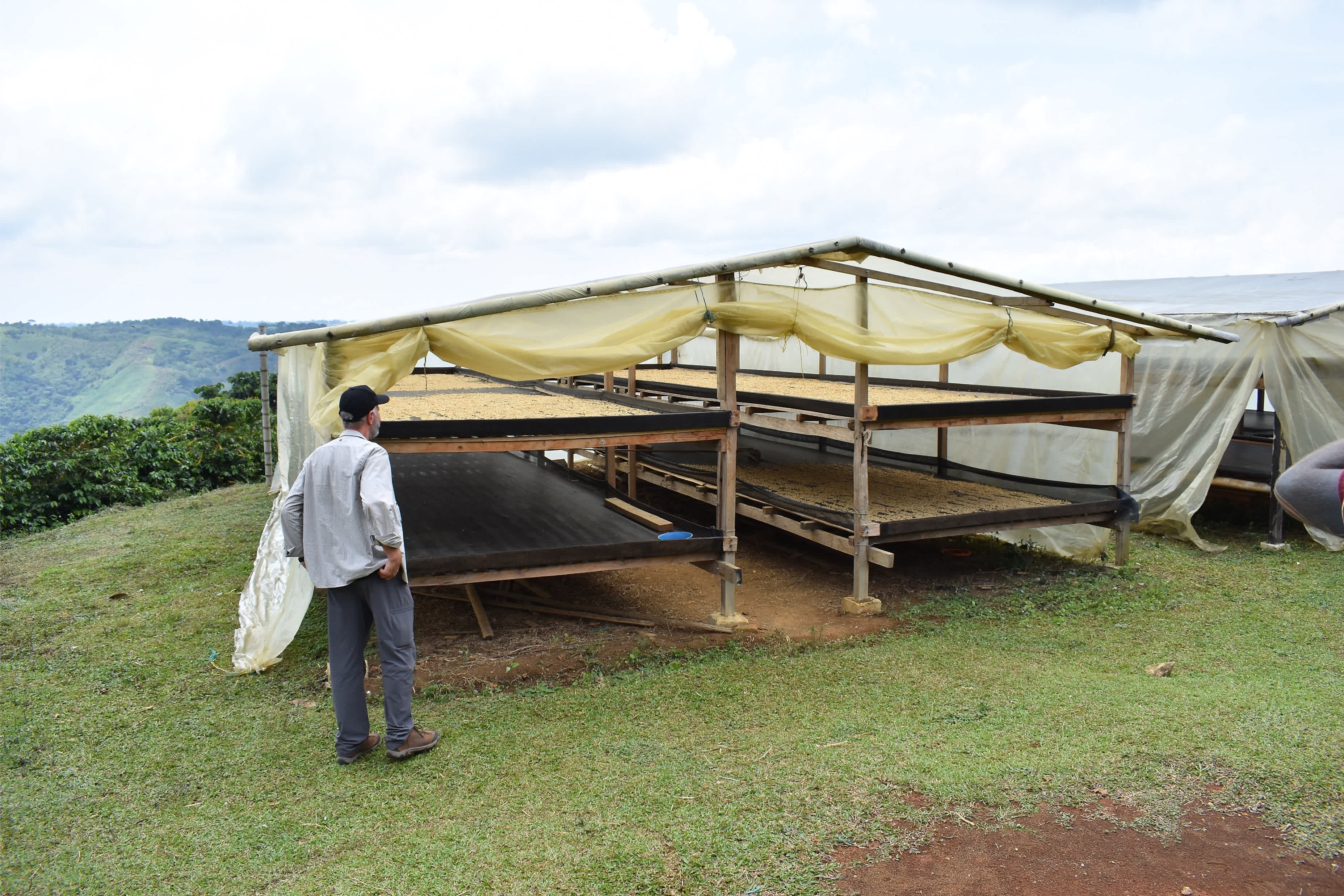 Explaining the “C Market” | Allpress Espresso