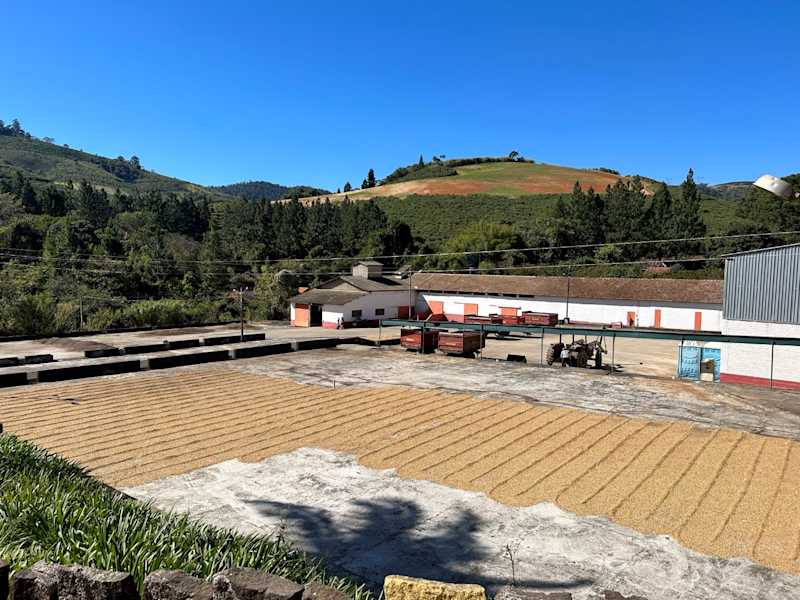 Fazenda Santa Alina