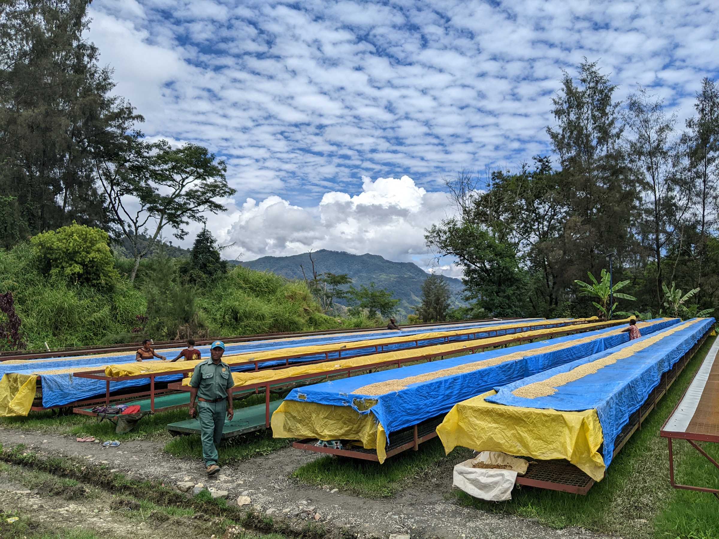 Allpress Espresso Community | Coffee Sourcing | Allpress Espresso