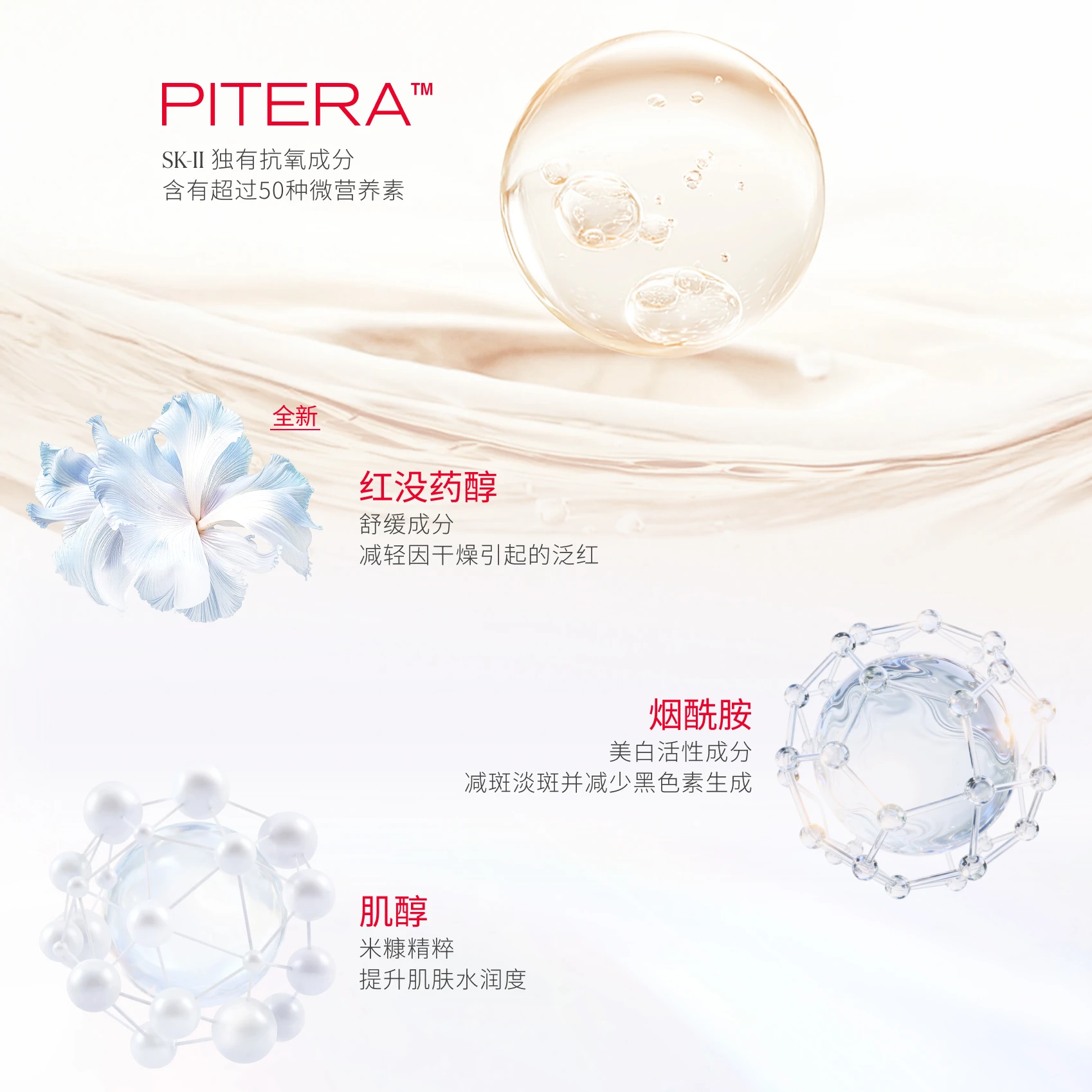 GASE - Product Overview - Image 04