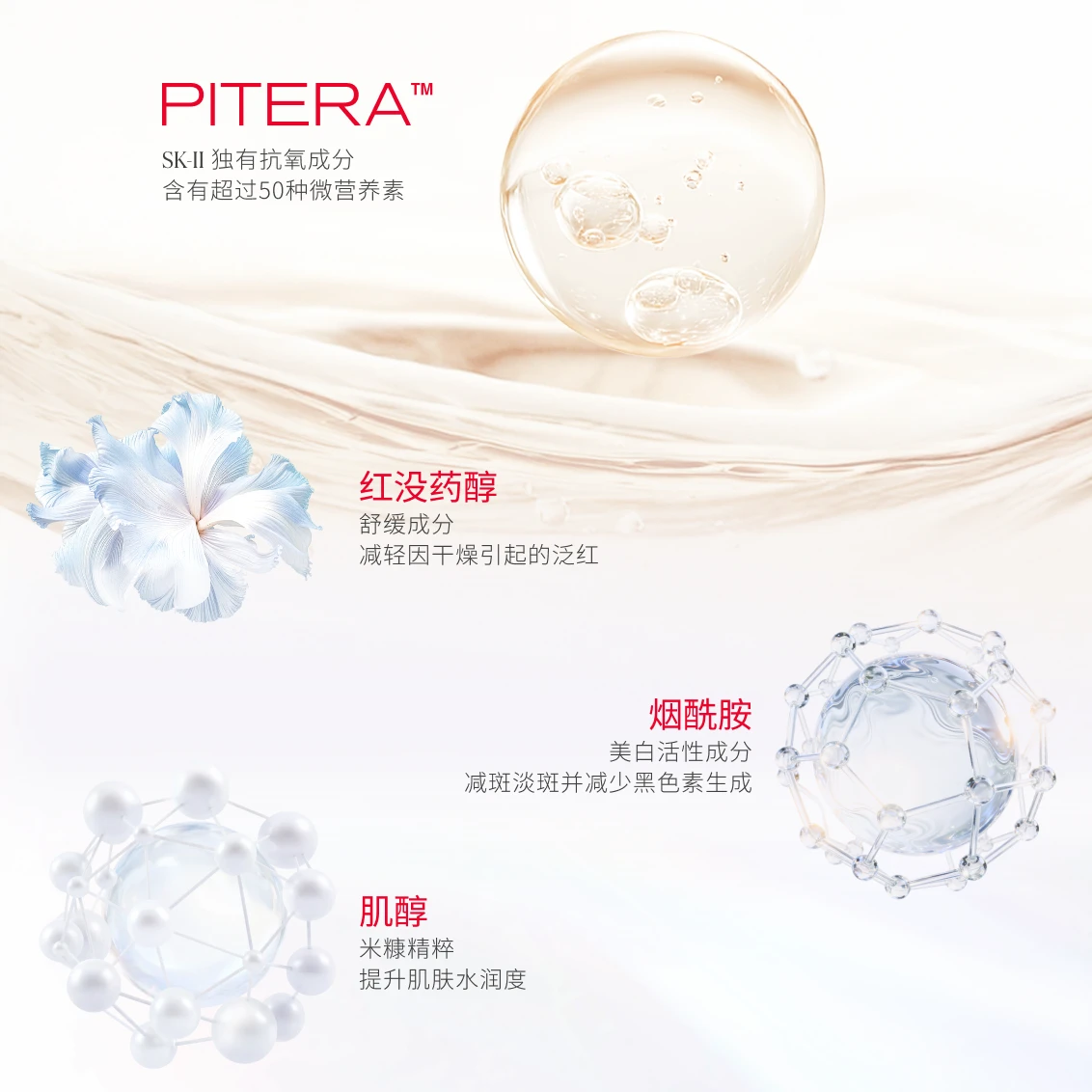 GASE - Product Overview - Image 04