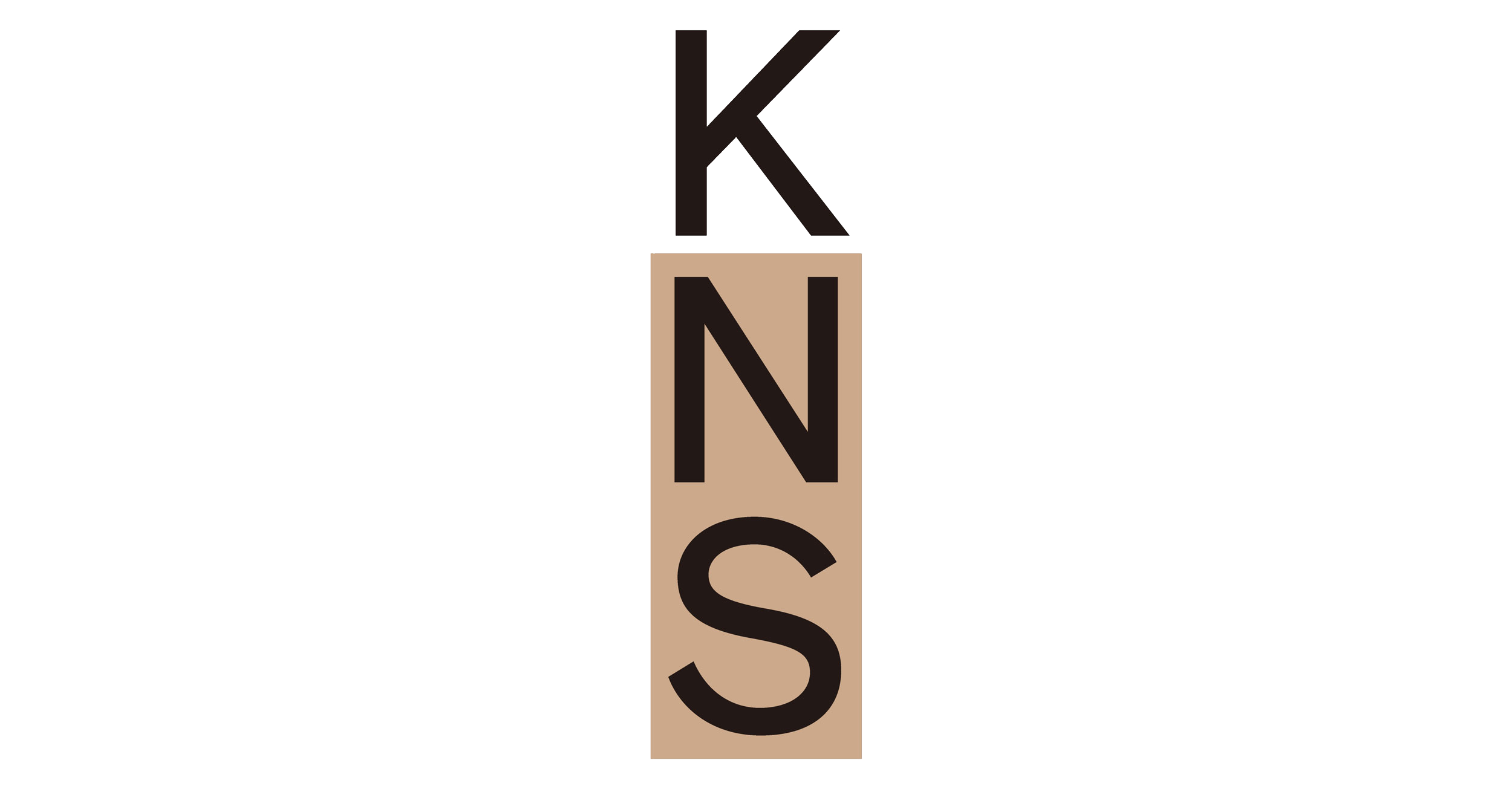 kns 10