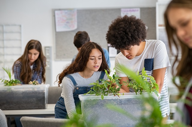 Best Environmental Science Schools In The US | Polygence