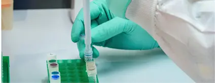 Rectangle 137 42514cbc-1fe4-466d-8bc7-b8c436aa19e7