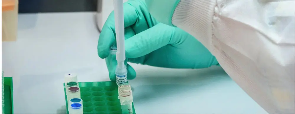 Rectangle 137 42514cbc-1fe4-466d-8bc7-b8c436aa19e7