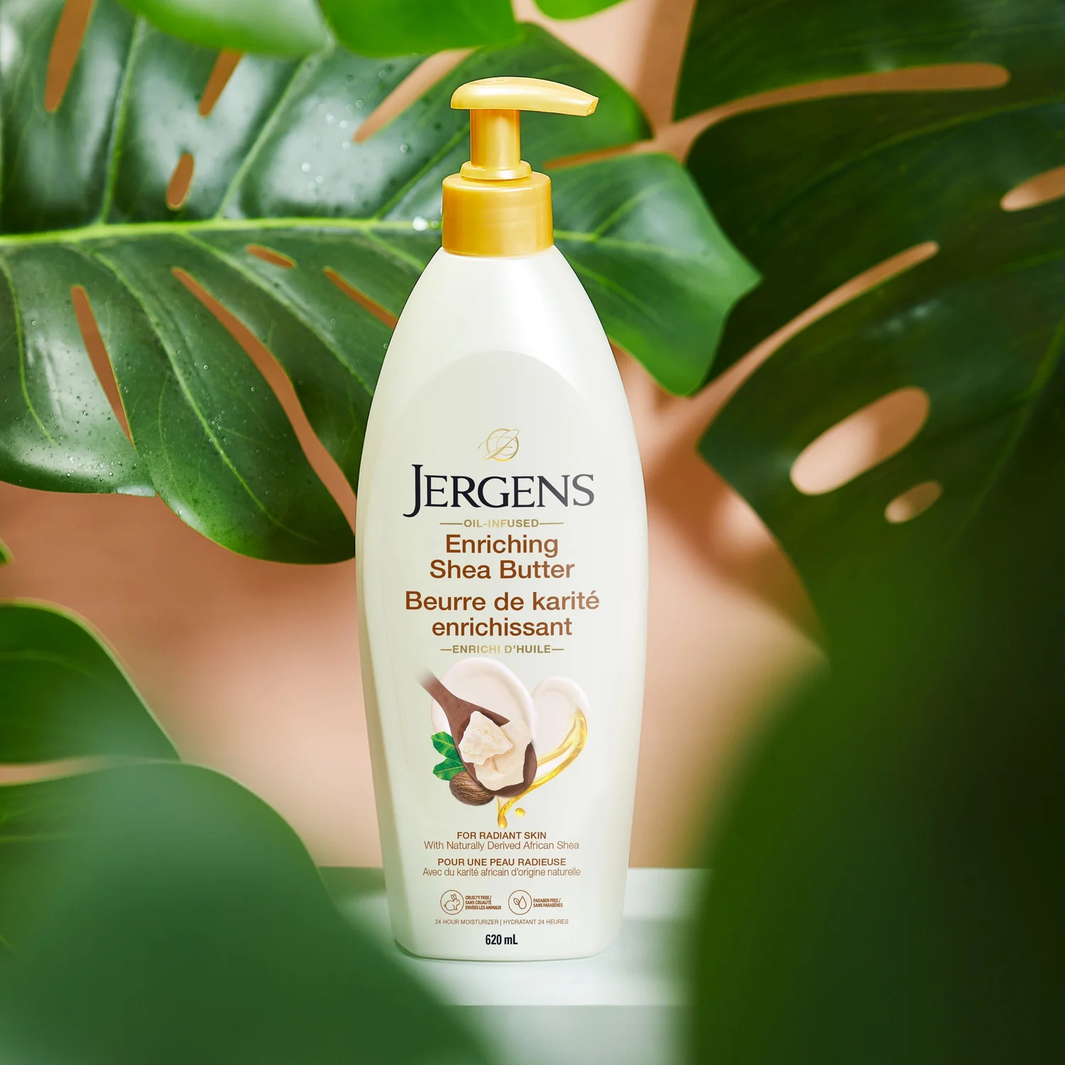 97664 JER JNG CA DTC Banner Images FINAL-09