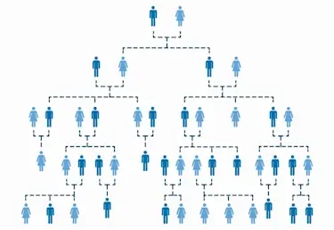 Hier würden Sie einen Stammbaum sehen