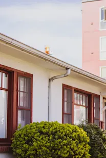 Doppelhaushälfte vermieten