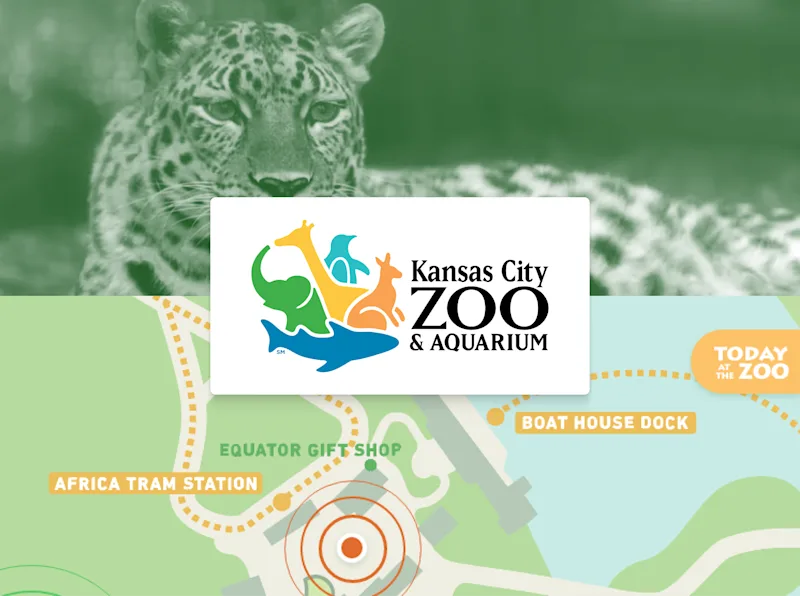 Case Study case study