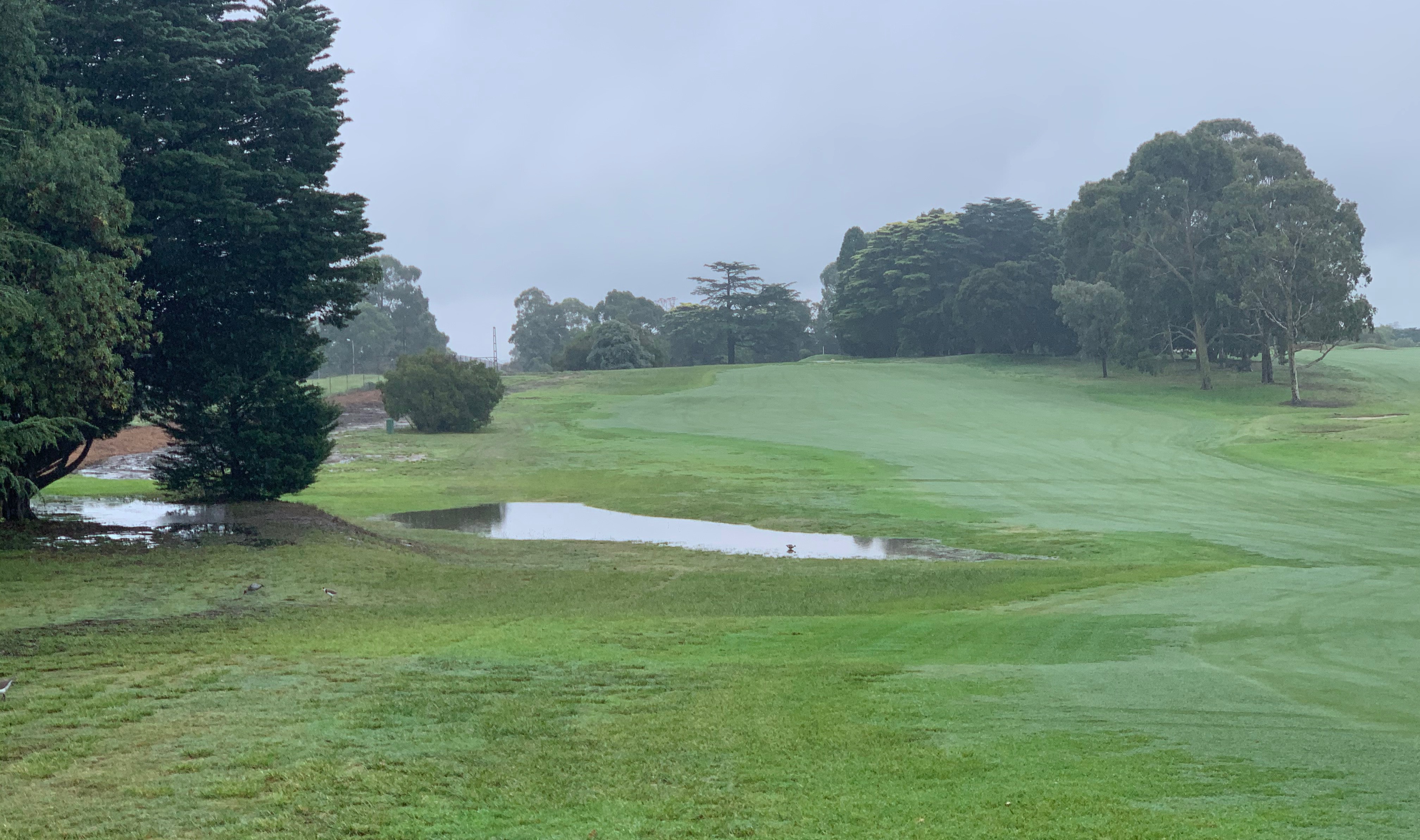 Riversdale Cup 2020_image