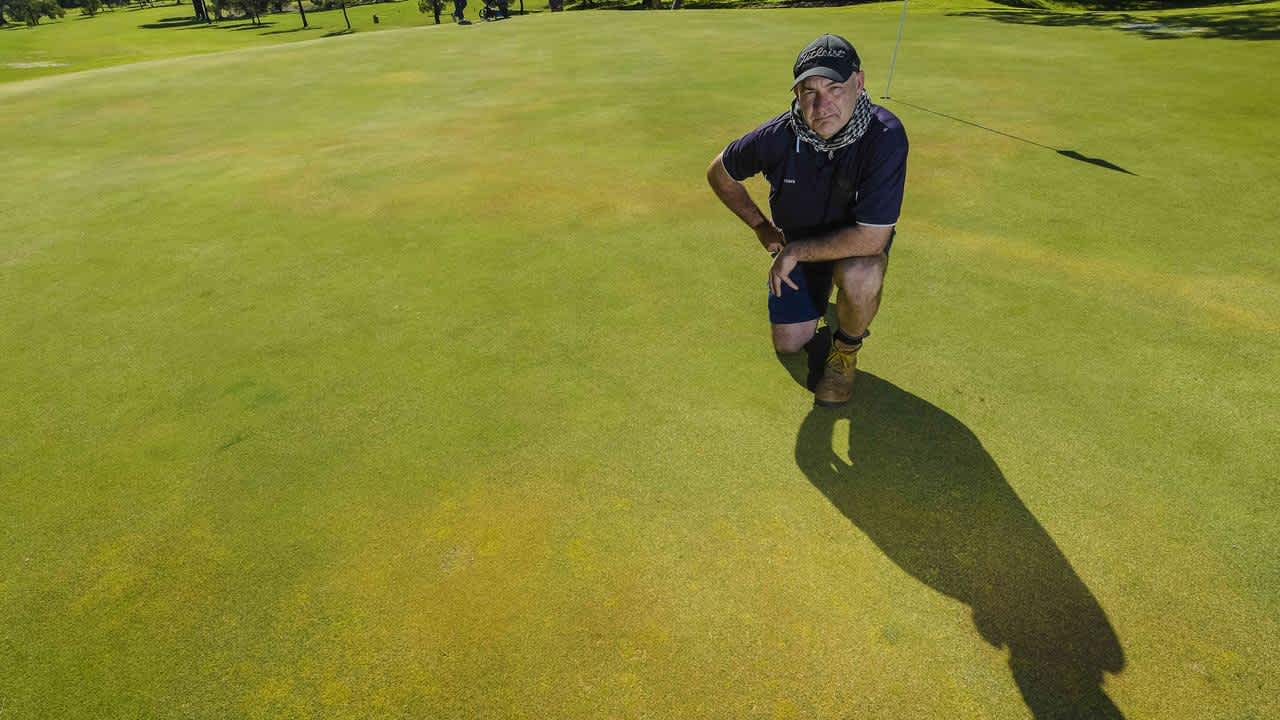The greens at Sandy Creek Golf Club were sprayed with poison.