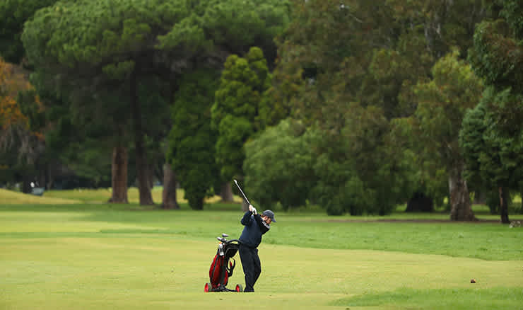 Lone golfer image