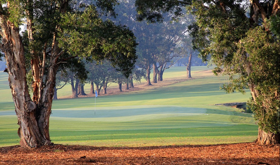 Concord to host NSW Open Golf Australia