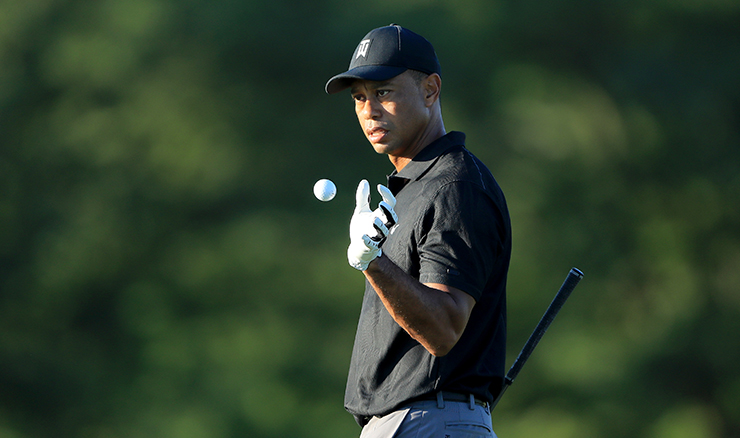 Tiger Woods Memorial image