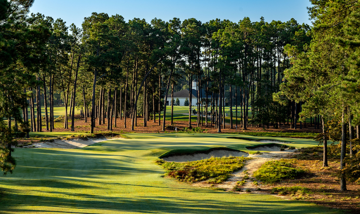 Pinehurst image