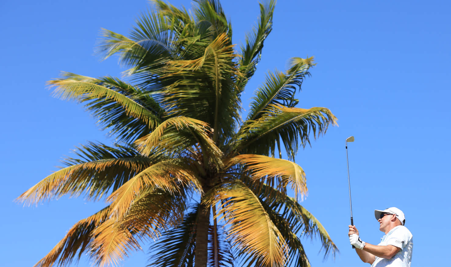 Cameron Percy finds the winds of Puerto Rico suit his shotmaking ability.