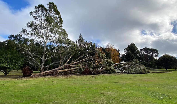 Trentham storm image