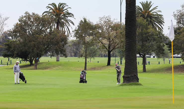 Albert Park golf image