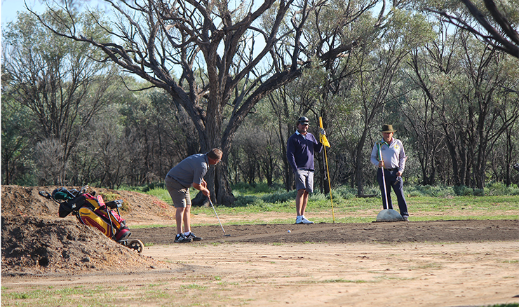 Sand Greens champs image