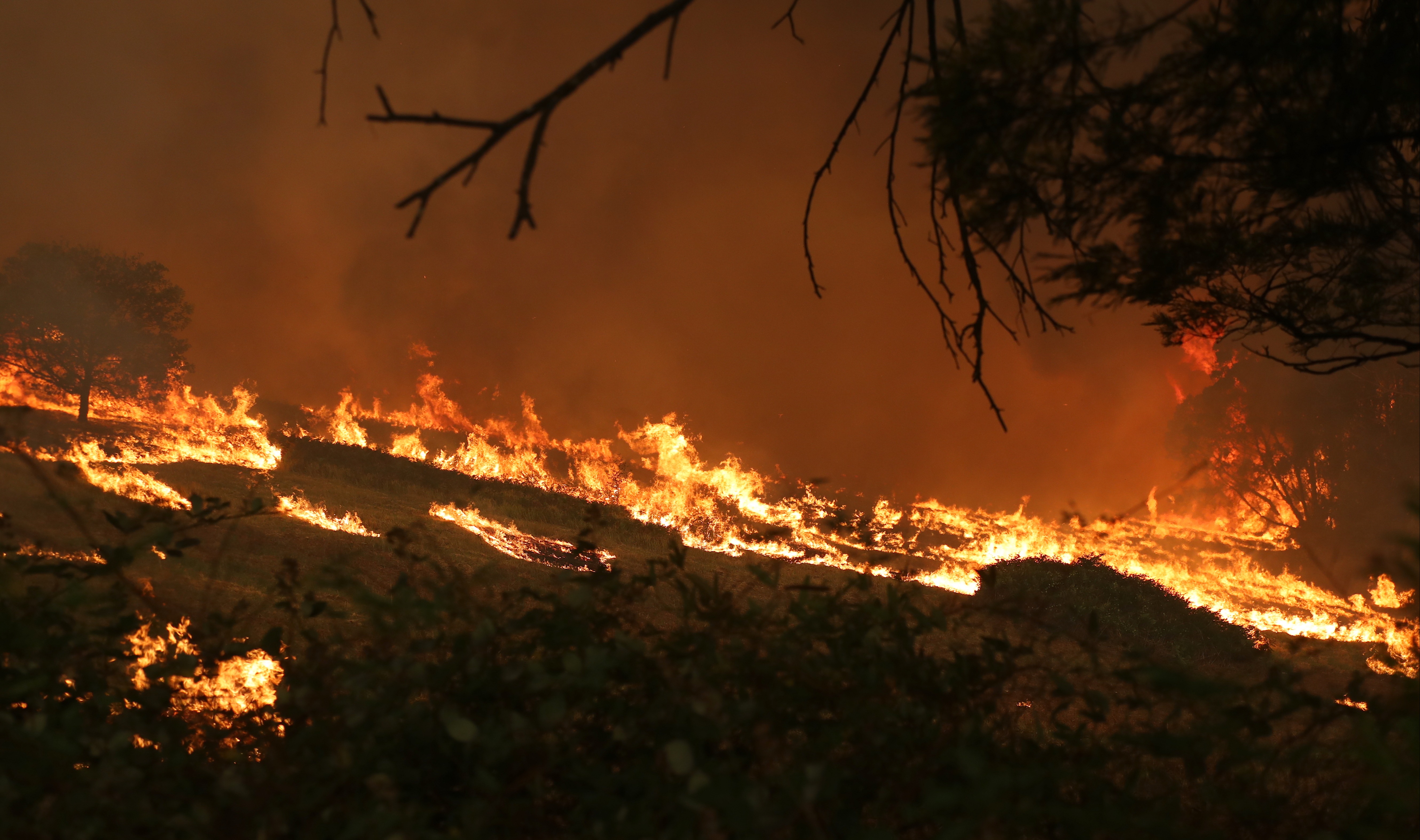 Bushfire image