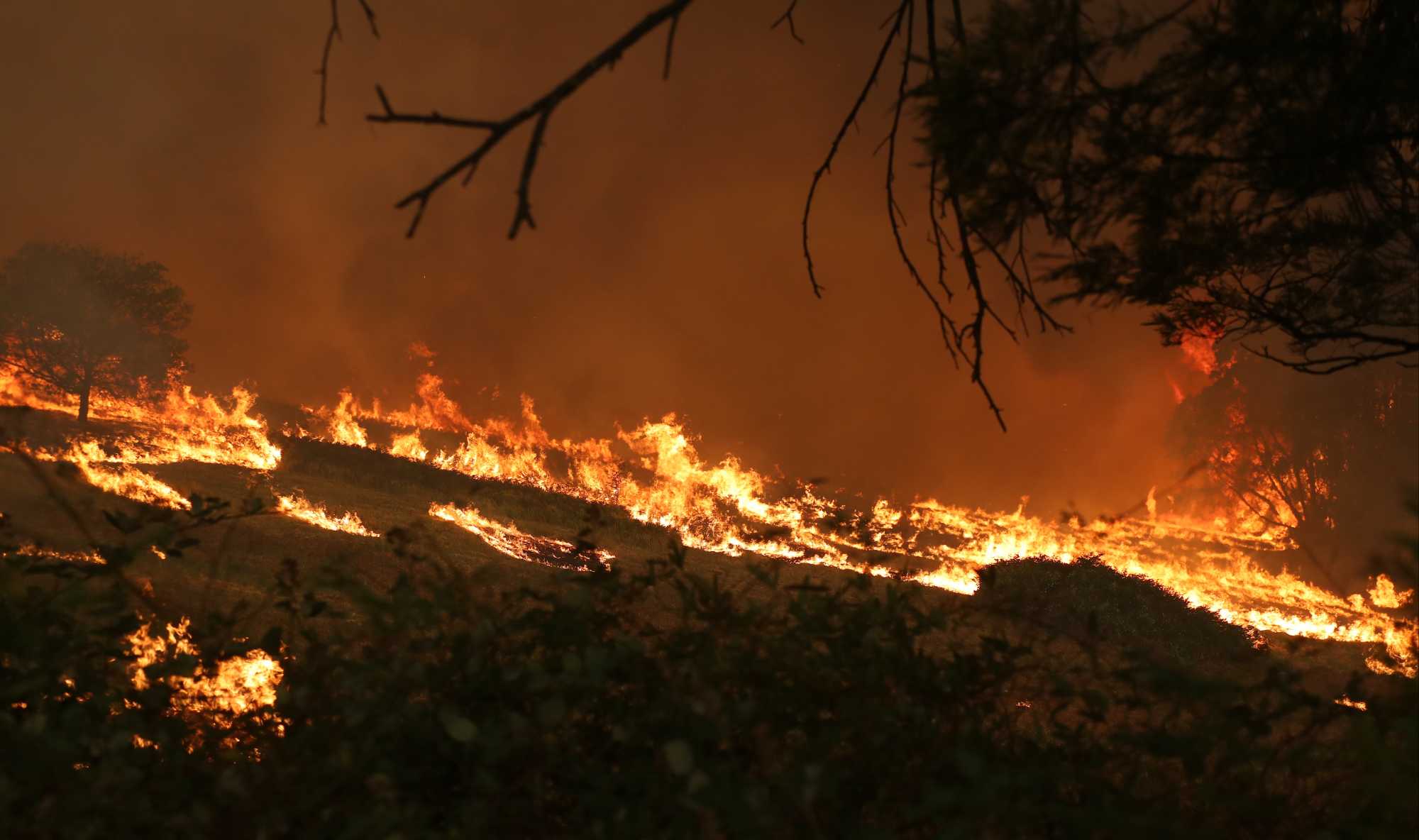 Bushfire image