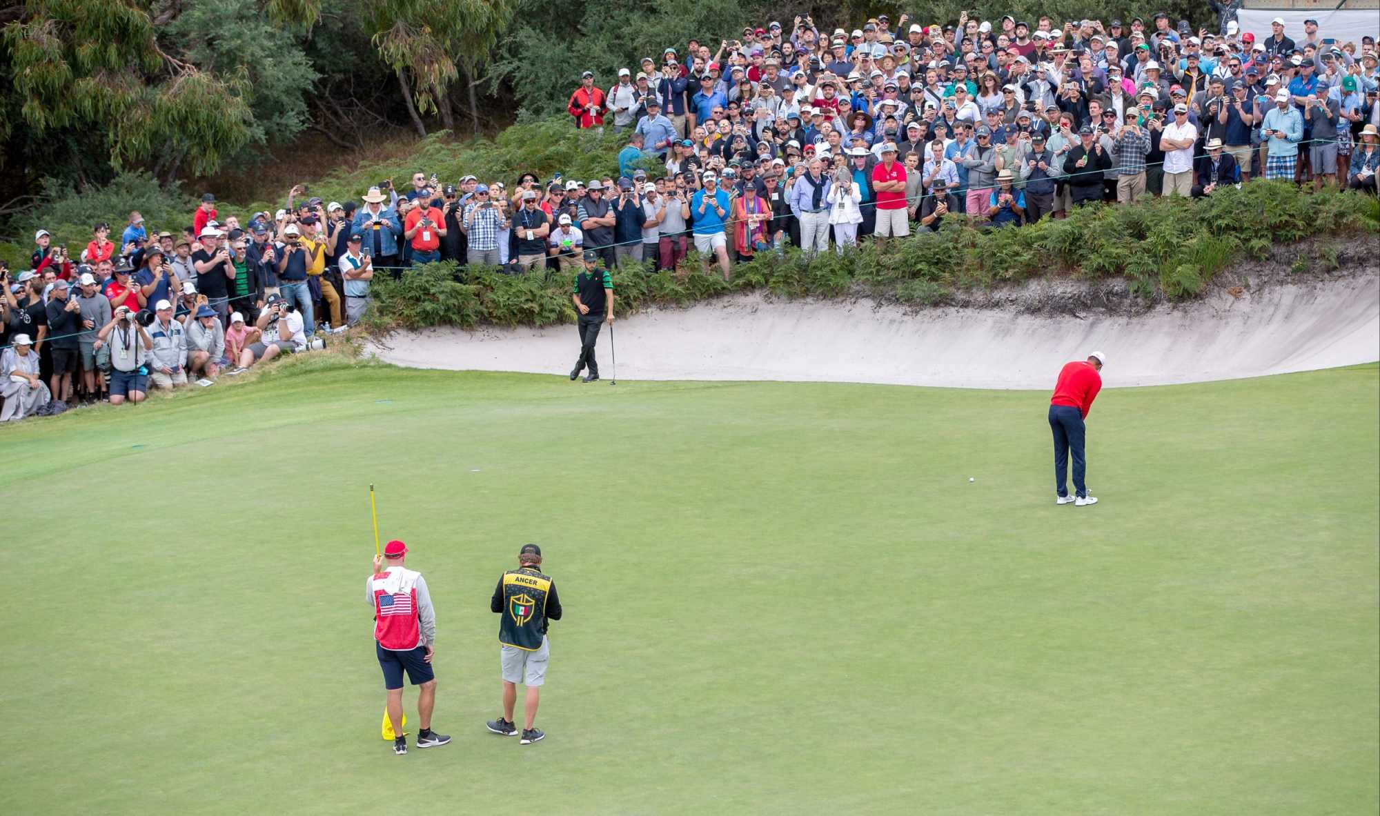 Tiger Woods at Royal Melbourne during the Presidents Cup. Picture: Getty