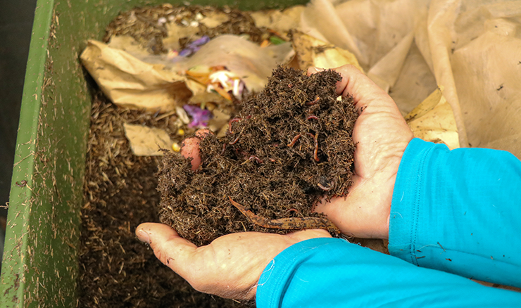Cusick holds the compost which he is gathering to reduce chemical usage on the golf course.