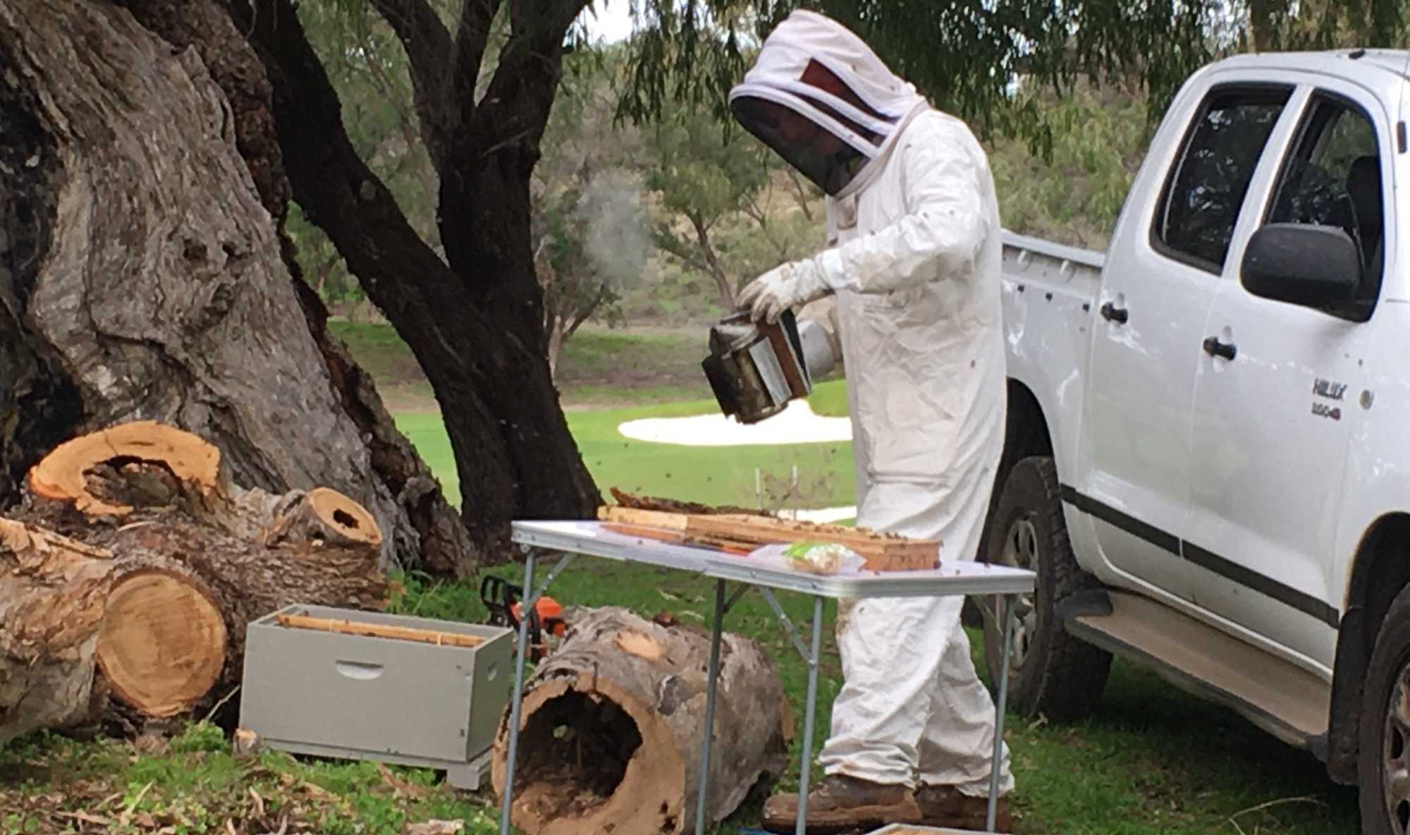 Cott-Beekeeper_image