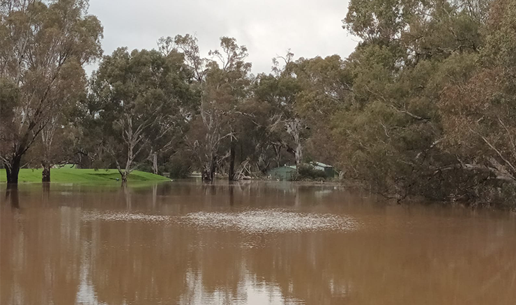 Axedale Golf Club flood image