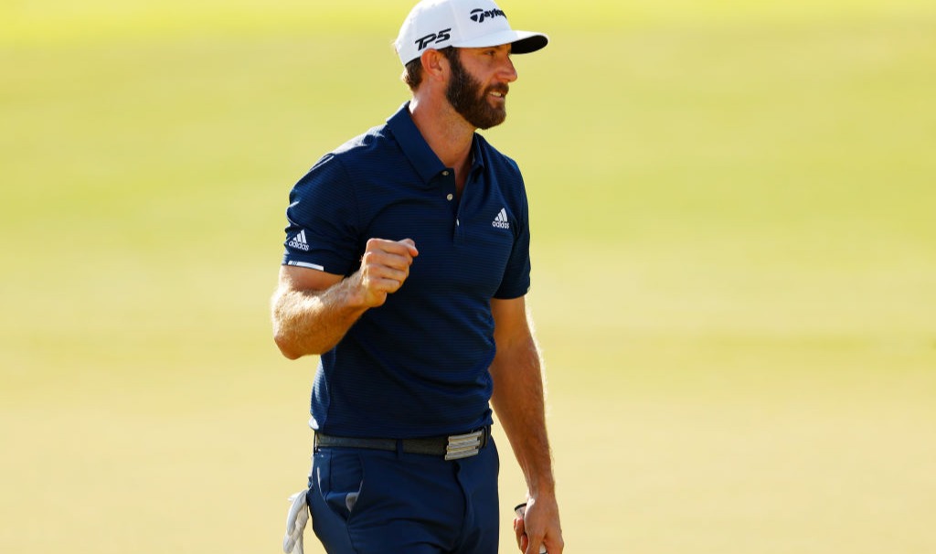 Dustin Johnson Fedex Cup image