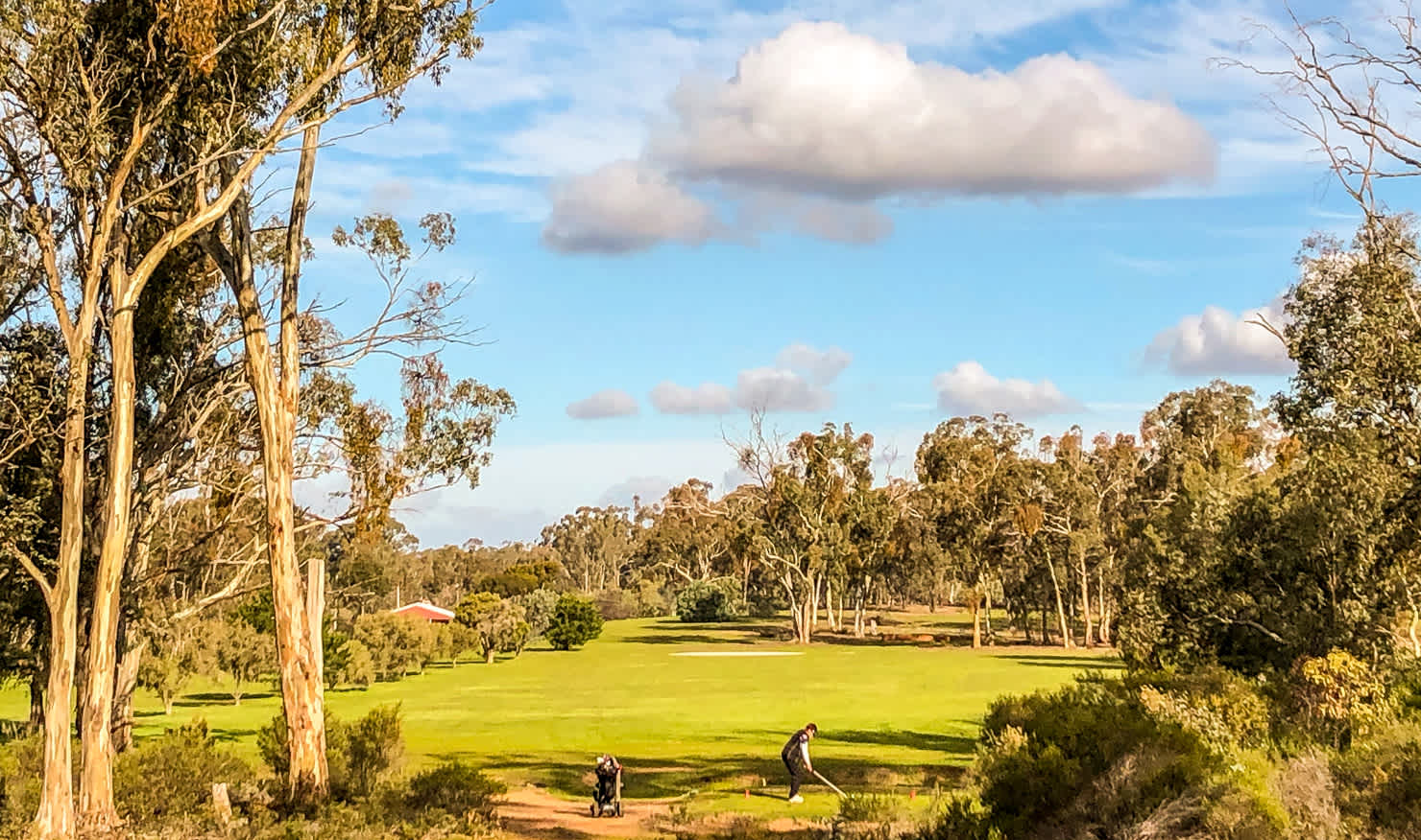 The Tarnagulla Golf Club is thriving again in the heart of the Victorian bush. Picture: SEAN RADICH