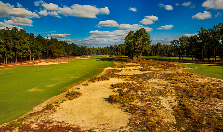 The famous sandy areas of Pinehurst No.2, regarded as one of the USA's top courses, will be seen a lot more often in championship play. Picture: USGA