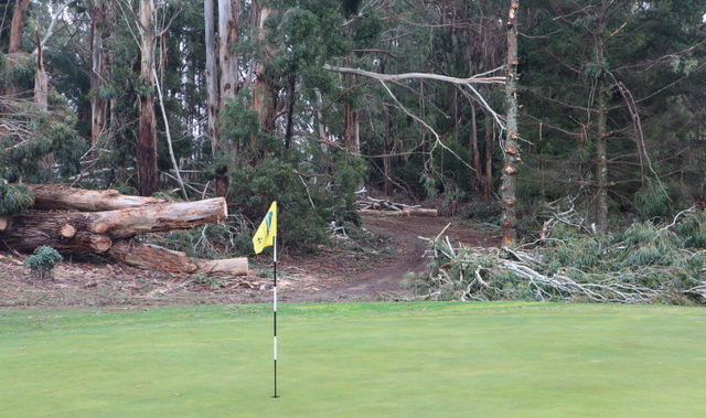 16th green to 17th tee at Trentham cleared.