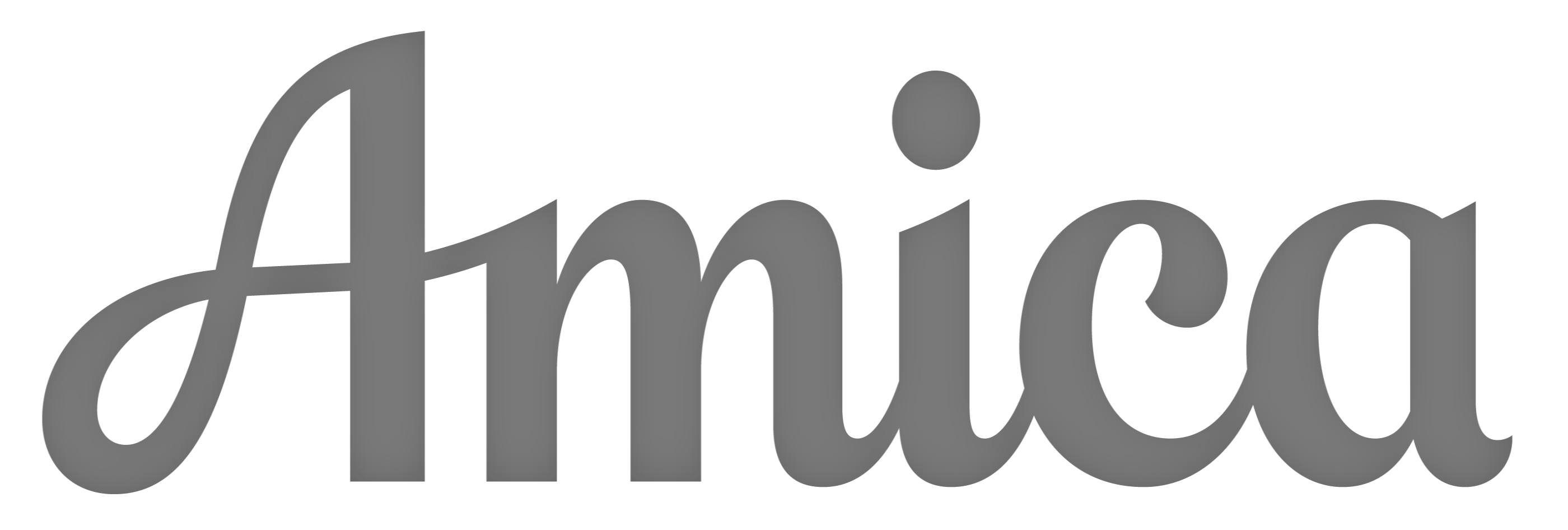 2018 amica logo