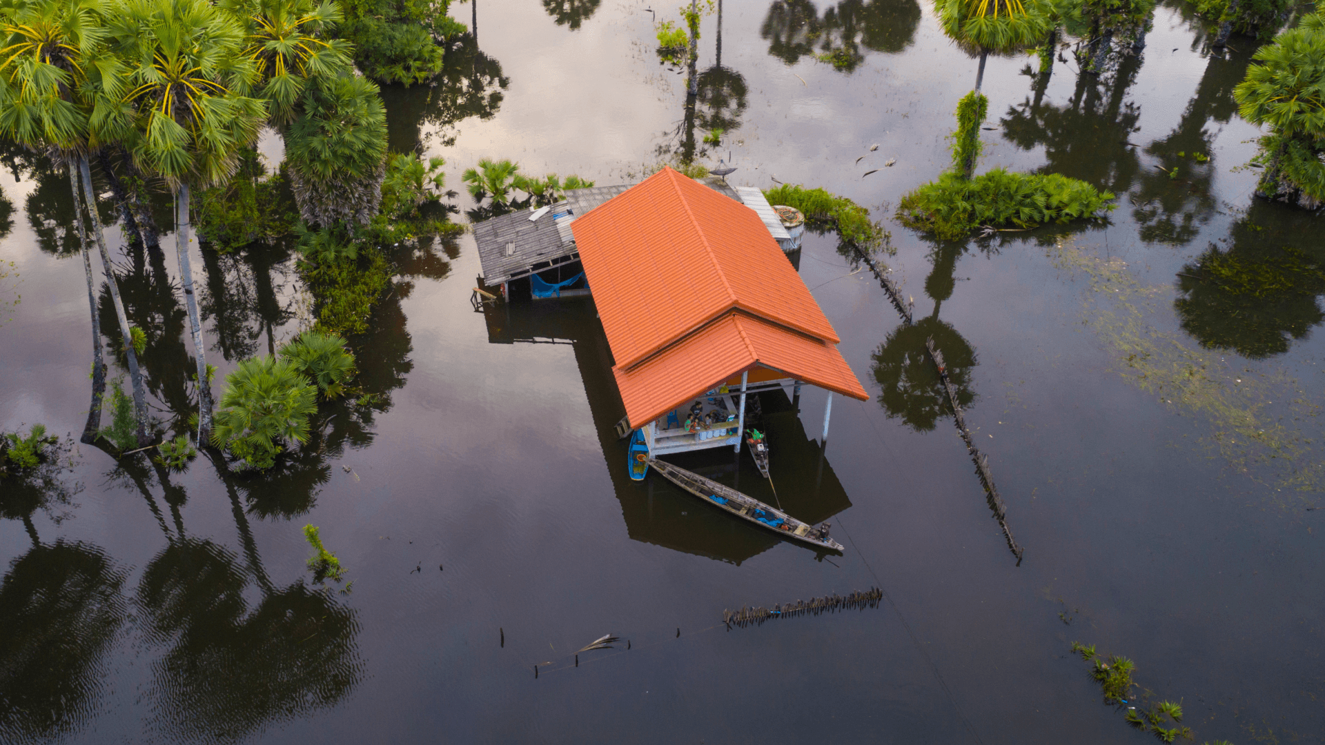 Is Florida Home Insurance Getting