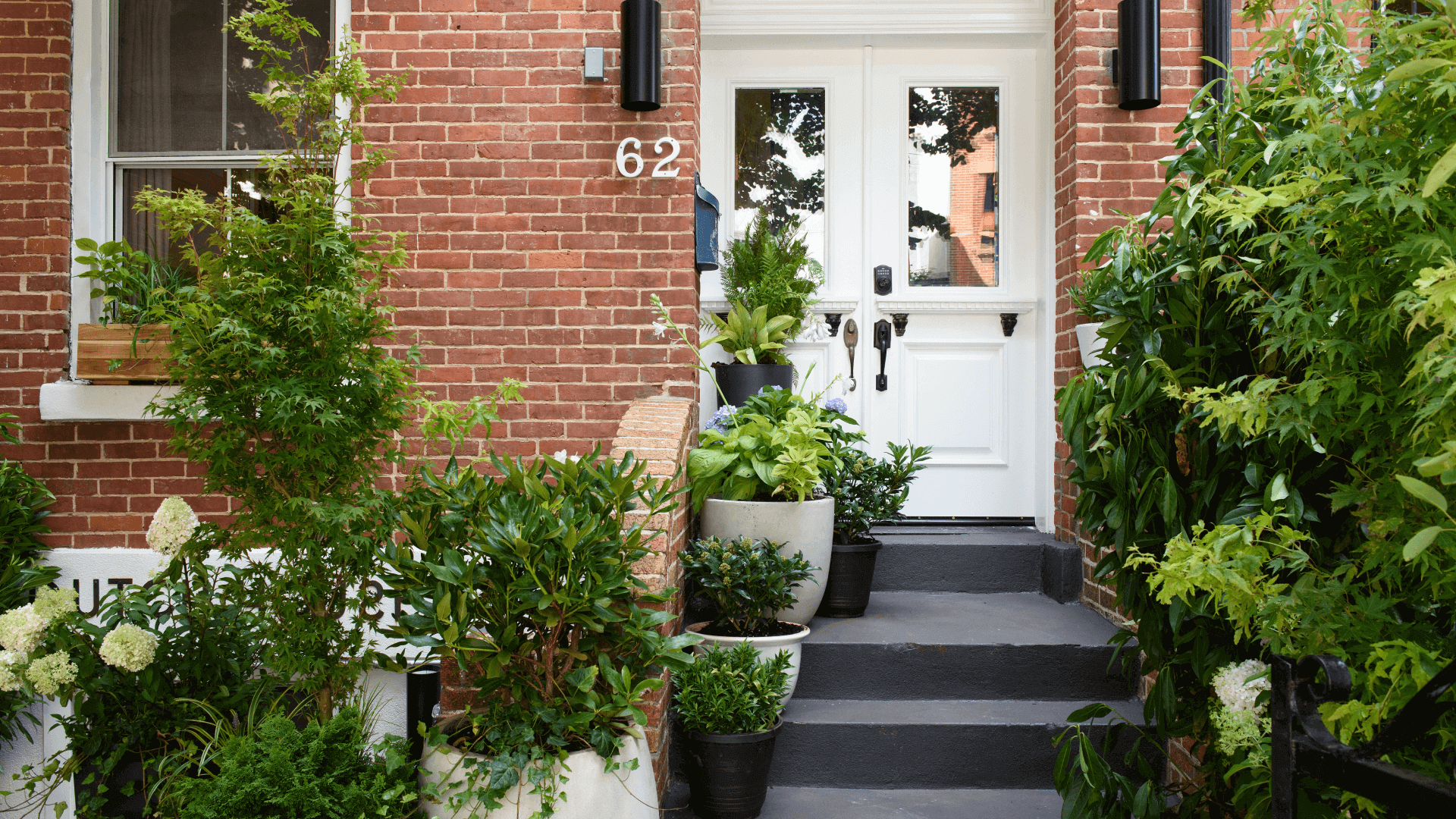 view of entry and front garden of a brick house with number 62 on it, a gray stoop lined with potted plants leads to a white windowed door, flanked by green tress and bushes