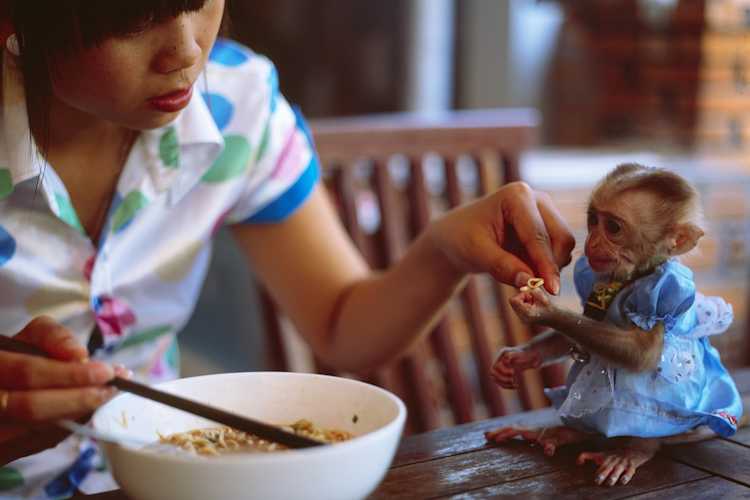 5 Untraditional Ways To Afford Adoption