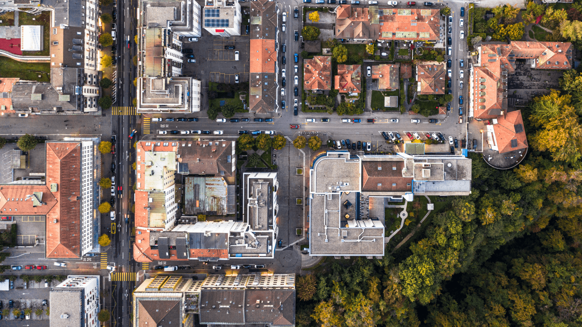 overhead view of several city blocks with a mix of large and small buildings, with a forested park on the lower right corner