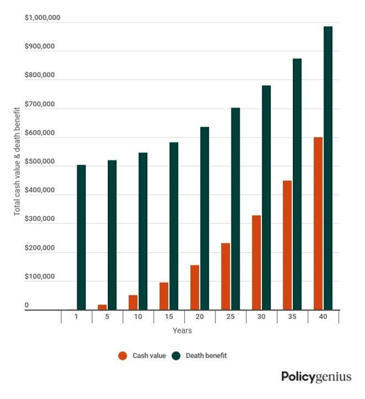 What Is a Cash Value Life Insurance Policy? – Policygenius