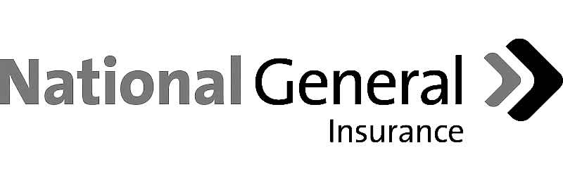 National General flood insurance logo