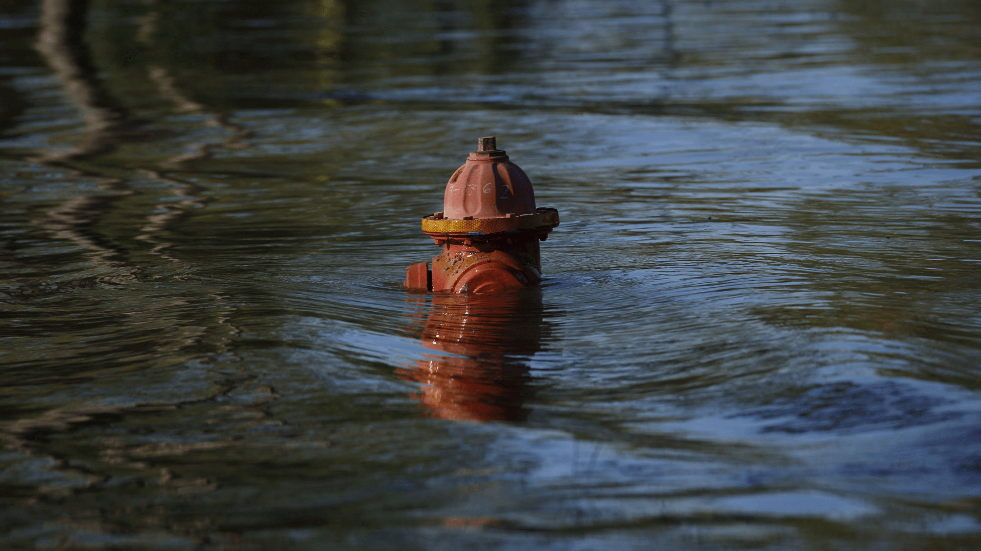 A fire hydrant submerged in floodwaters after Hurricane Delta made landfall in Louisiana.