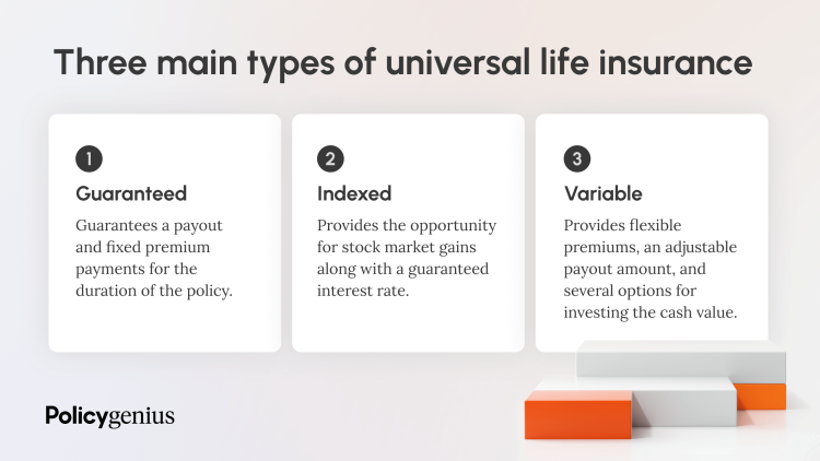 Types of universal life insurance infographic
