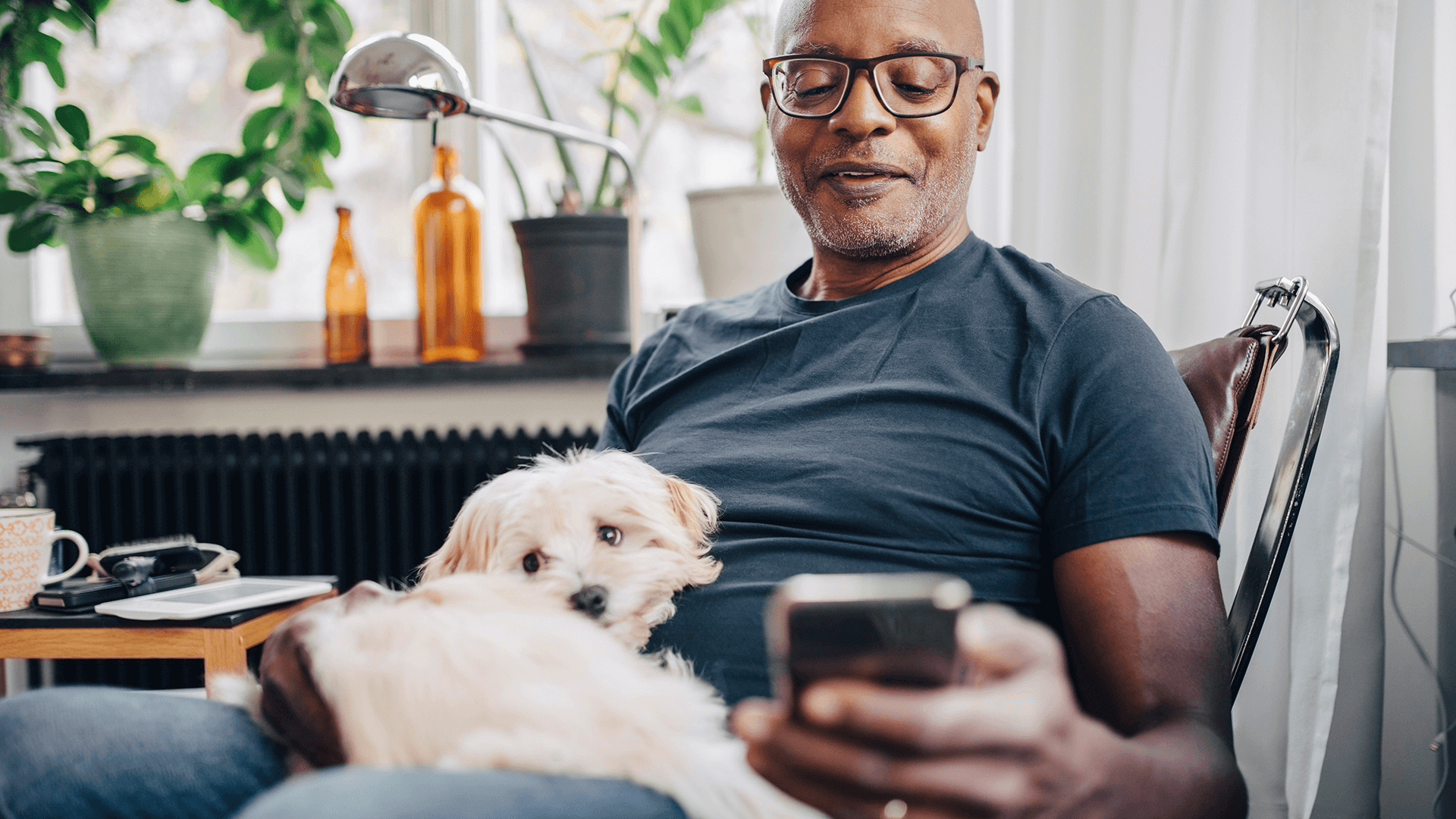 Image featuring a man wearing glasses looking at his cellphone, with a small white dog on his lap.
