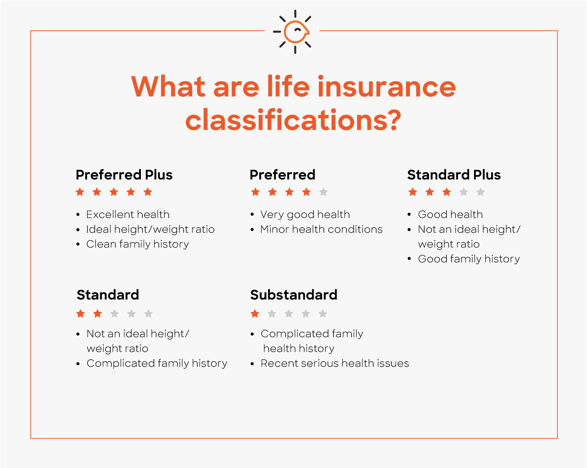 What Are Life Insurance Classifications Policygenius