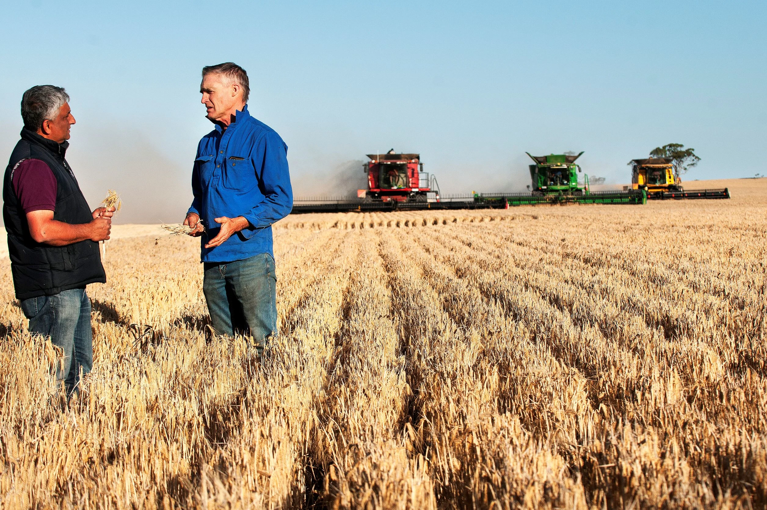Asahi Beverages overhauls supply chain to source barley direct from Aussie farmers