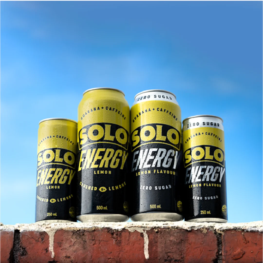 Solo Energy product