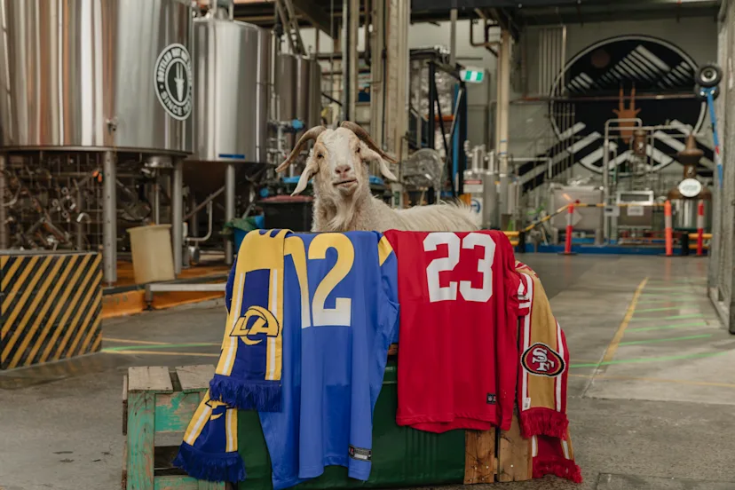 Mountain Goat Goes All-American for NFL Game Day