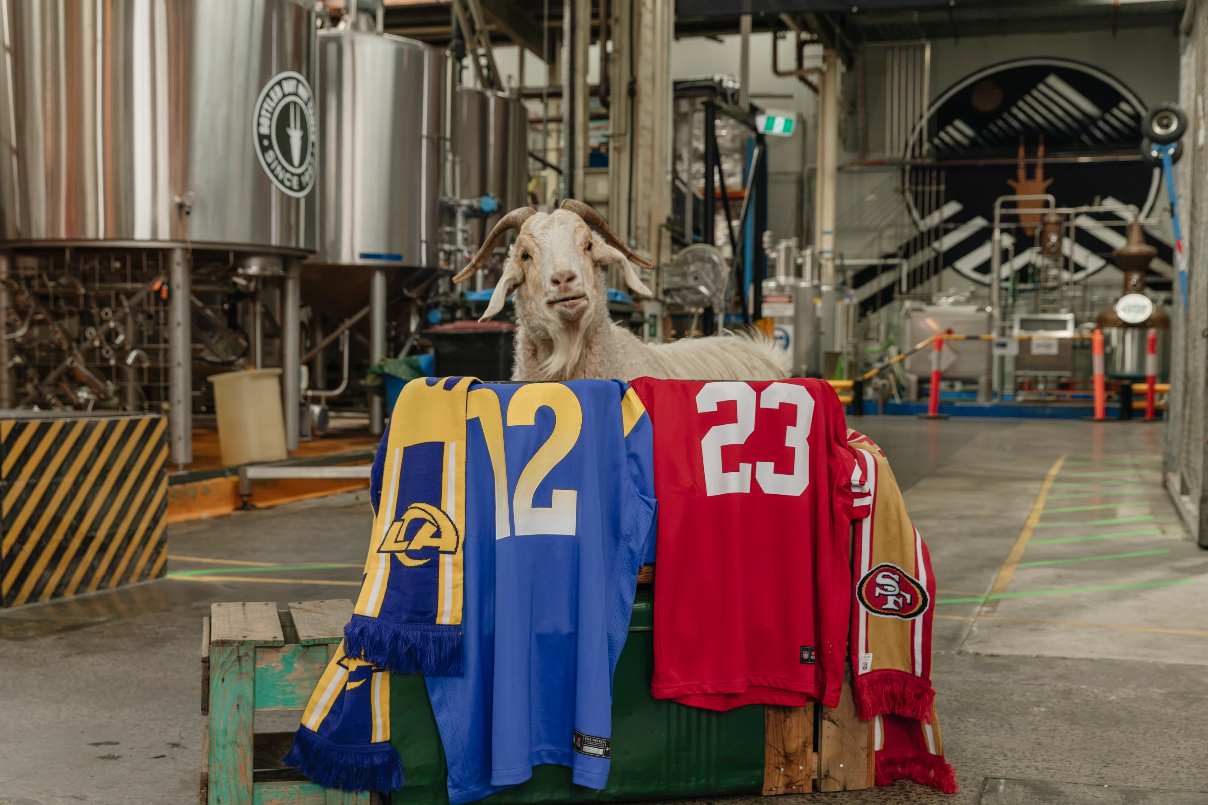Mountain Goat Goes All-American for NFL Game Day